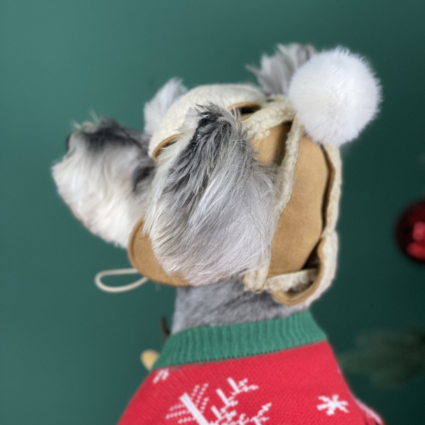 Hundemütze Ushanka mit Ohrlöchern | Warme Wintermütze für Hunde