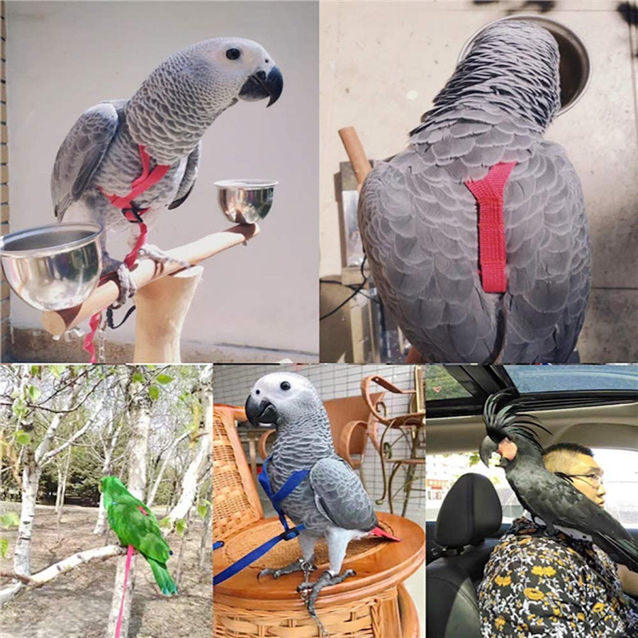 Papageien Fluggeschirr mit Flugschnur – Verstellbares Geschirr für Vögel
