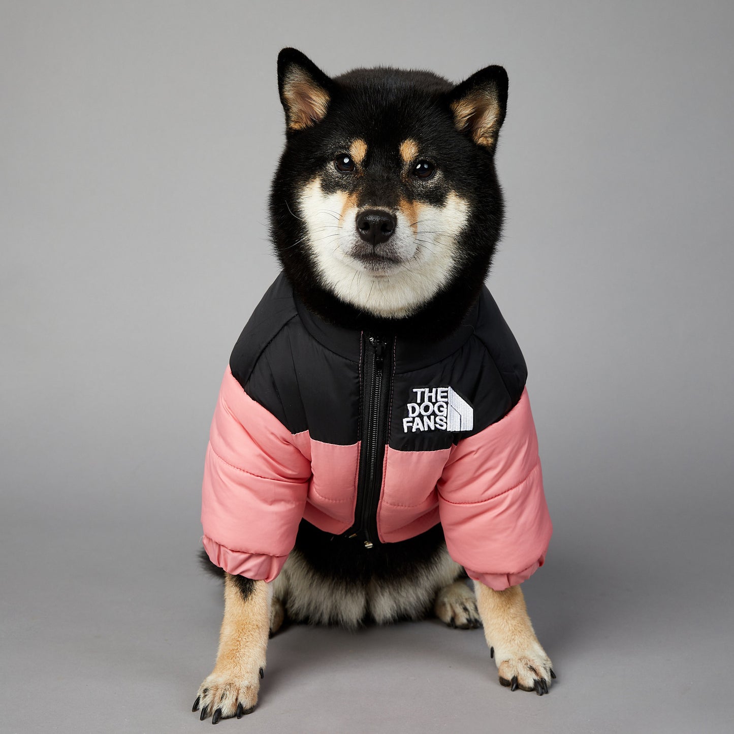 The Dog Fans - Gefütterte Haustierjacke
