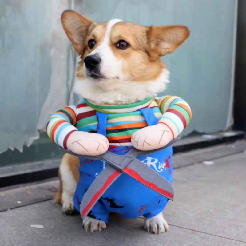 Pet Halloween Kostüm – Lustiges Scheren-Outfit für Hunde & Katzen