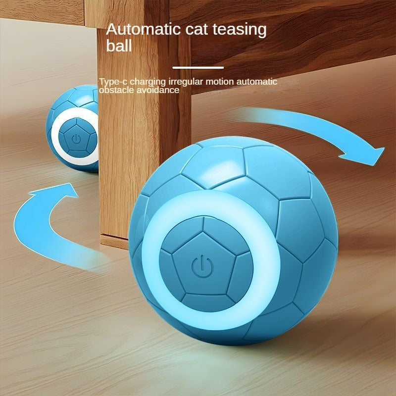 Interactive Electric Play Ball (with Catnip Compartment)