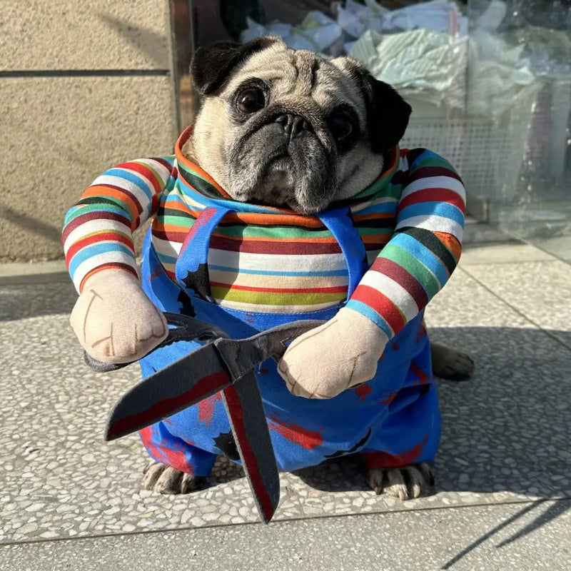 Pet Halloween Kostüm – Lustiges Scheren-Outfit für Hunde & Katzen
