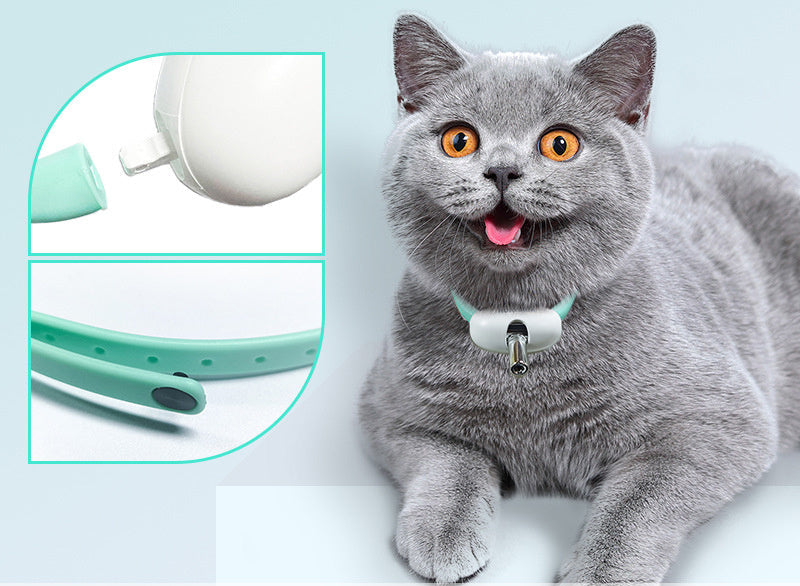 Laser-Spielzeug-Halsband für Katzen – USB-aufladbar & smart