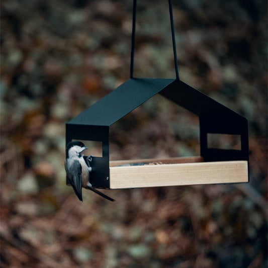 Eleganter Vogel Futterspender aus Metall | Hängefutterstation für Garten und Balkon