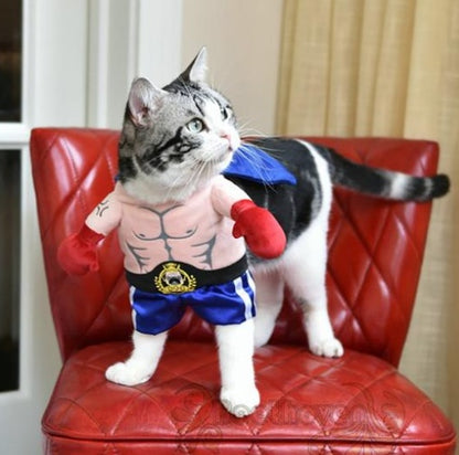 Boxer Kostüm für Katzen & kleine Hunde - Lustiges Haustier-Outfit