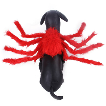 Lustiges Spinnenkostüm für Hunde & Katzen | Halloween Kostüm