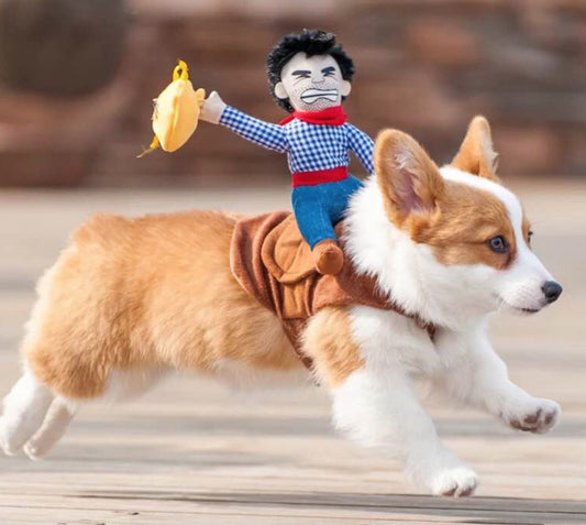 Riding Cowboy Haustierkostüm für Hunde und Katzen