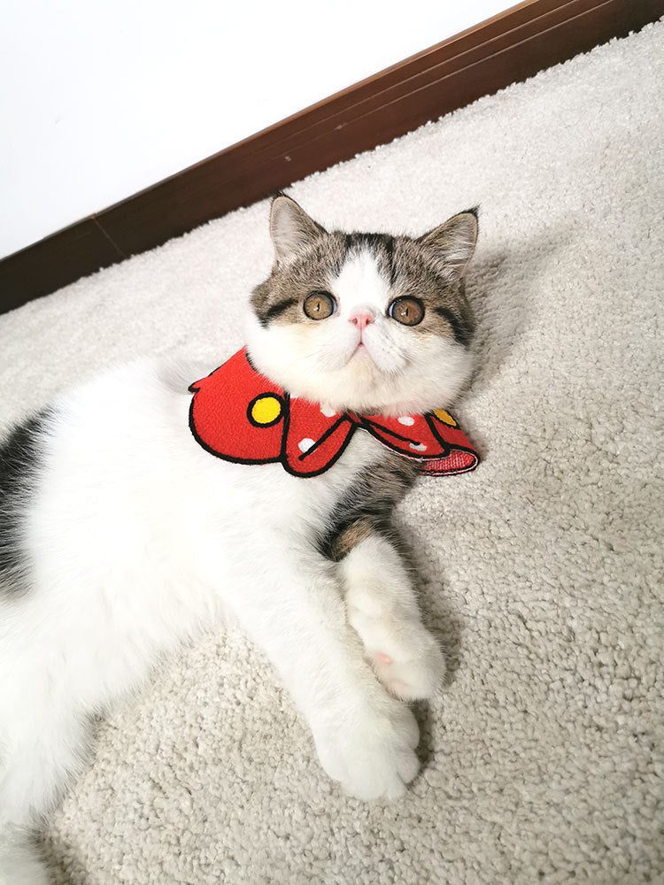Halstuch für Hunde & Katzen | Elegantes Accessoire für kleine Haustiere