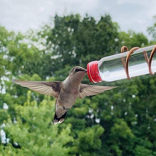 Kolibrifutterstation mit Saugnäpfen – Handgemachter Trinkspender aus Kupferdraht und PET-Flaschen für Wildvögel