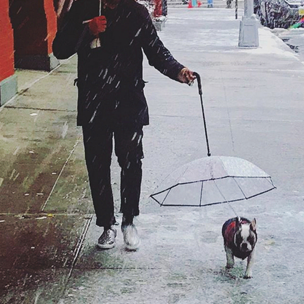 Transparenter Hunde-Regenschirm mit Leine – Abnehmbar & wetterfest