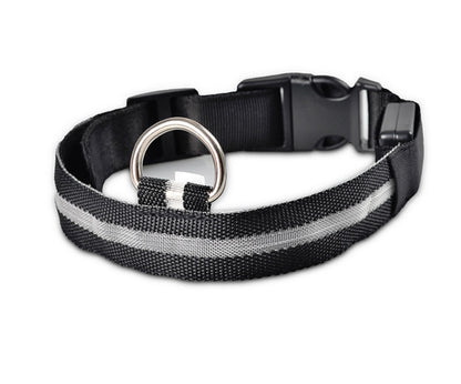 LED-Leuchthalsband für Hunde & Katzen – USB-aufladbar für mehr Sicherheit bei Nacht