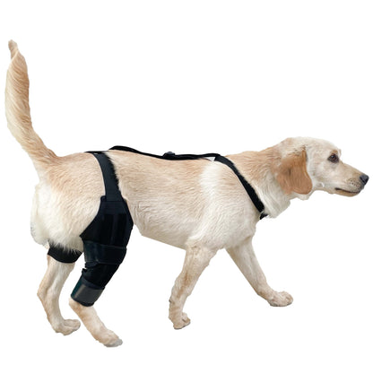 Knieschutz für Hunde | Gelenk- & Knieschutz
