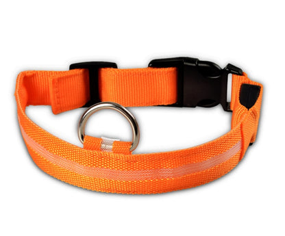 LED-Leuchthalsband für Hunde & Katzen – USB-aufladbar für mehr Sicherheit bei Nacht