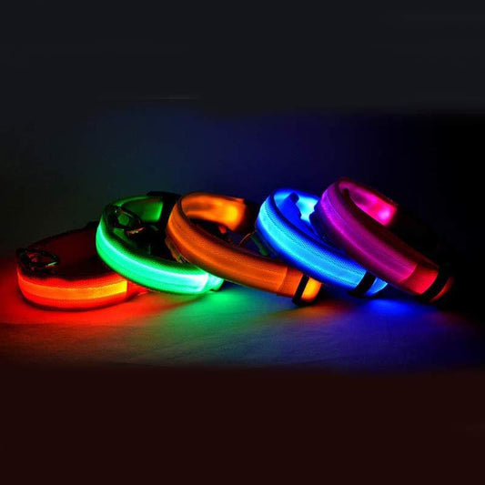 LED-Leuchthalsband für Hunde & Katzen – USB-aufladbar für mehr Sicherheit bei Nacht
