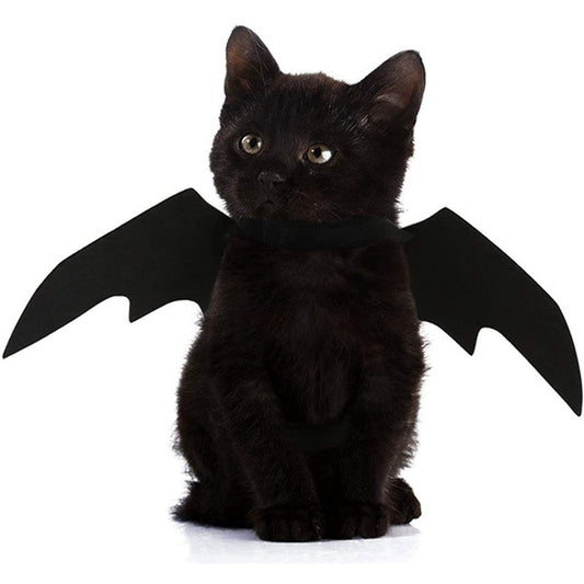 Halloween Fledermausflügel – Verkleidung für Hunde & Katzen