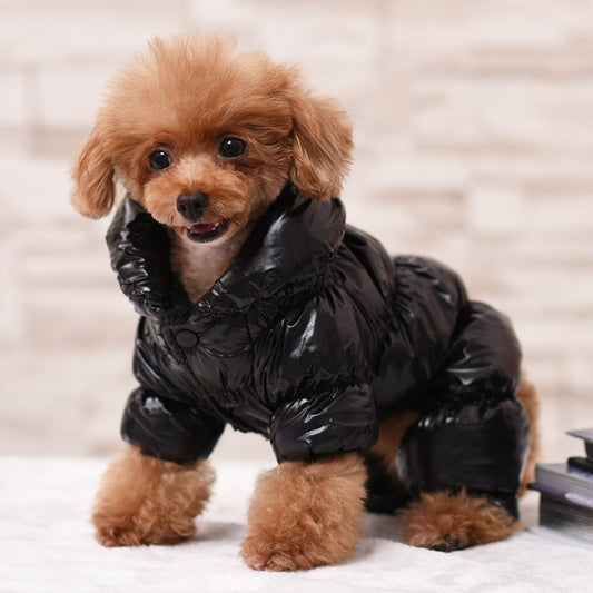 Wärmende Hundekleidung im Daunenjackenstil – Bequeme und stylische Hundejacke für den Winter