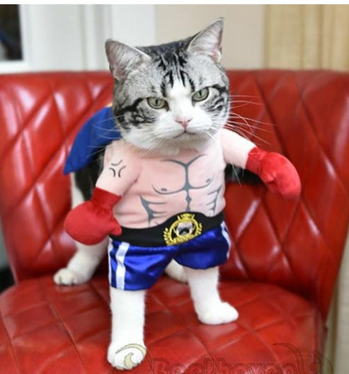 Boxer Kostüm für Katzen & kleine Hunde - Lustiges Haustier-Outfit