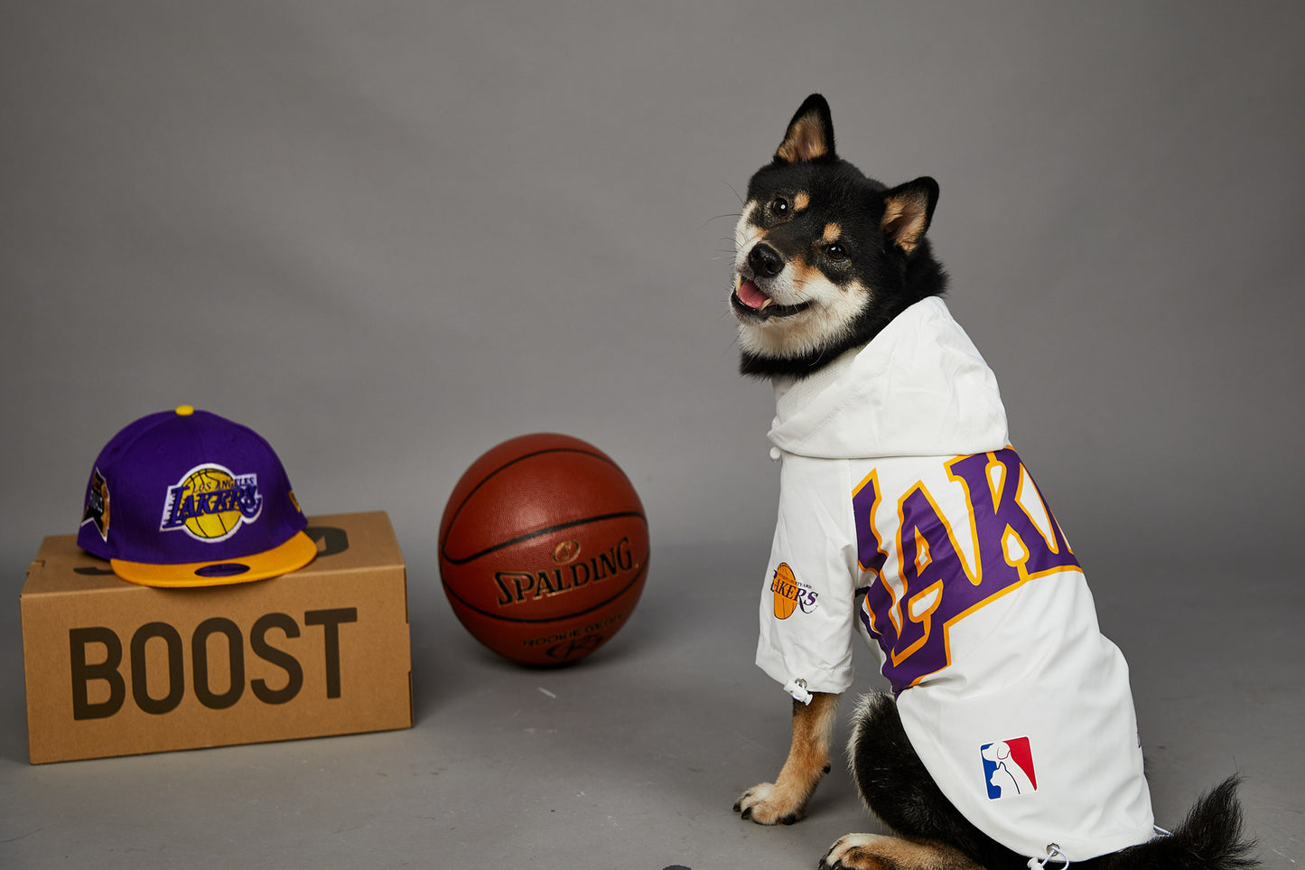 Basketball-Jacke für Hunde & Katzen | Stylische Haustierjacke im US-Design
