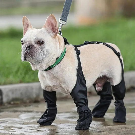 Wasserdichte Hundeschuhe mit Anti-Rutsch-Sohle | 4er-Set in Schwarz
