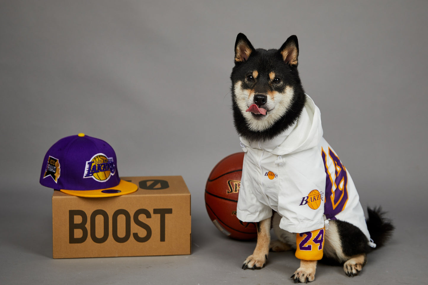 Basketball-Jacke für Hunde & Katzen | Stylische Haustierjacke im US-Design