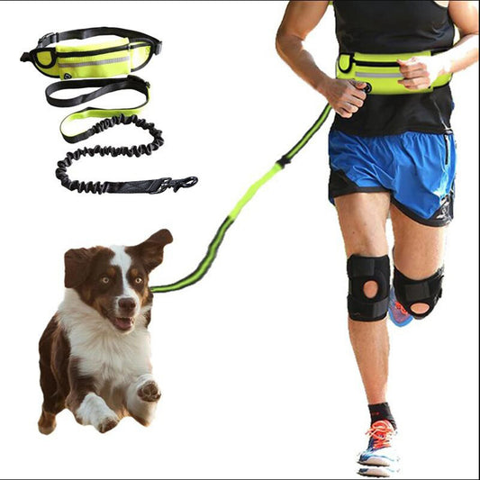 Handsfree Hunde-Jogging-Gurt mit Leine und Flaschenhalter