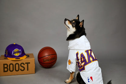 Basketball-Jacke für Hunde & Katzen | Stylische Haustierjacke im US-Design