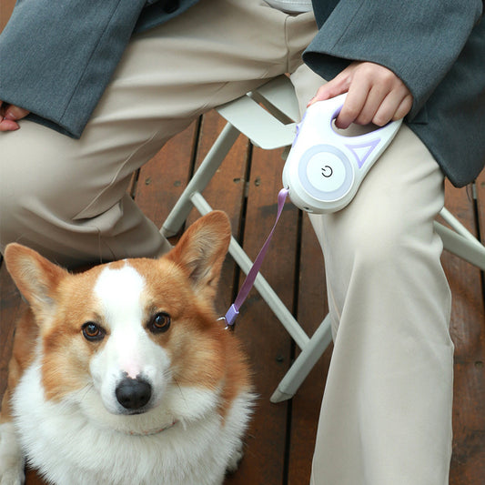 Automatic Retractable Dog Leash with Optional Collar – 3m & 5m Length