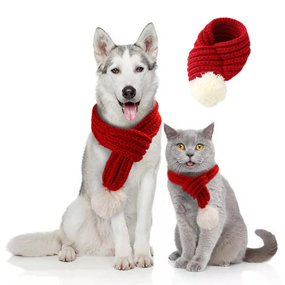 Bommel-Wollschal für Hunde & Katzen | Festliches Accessoire mit Bommel