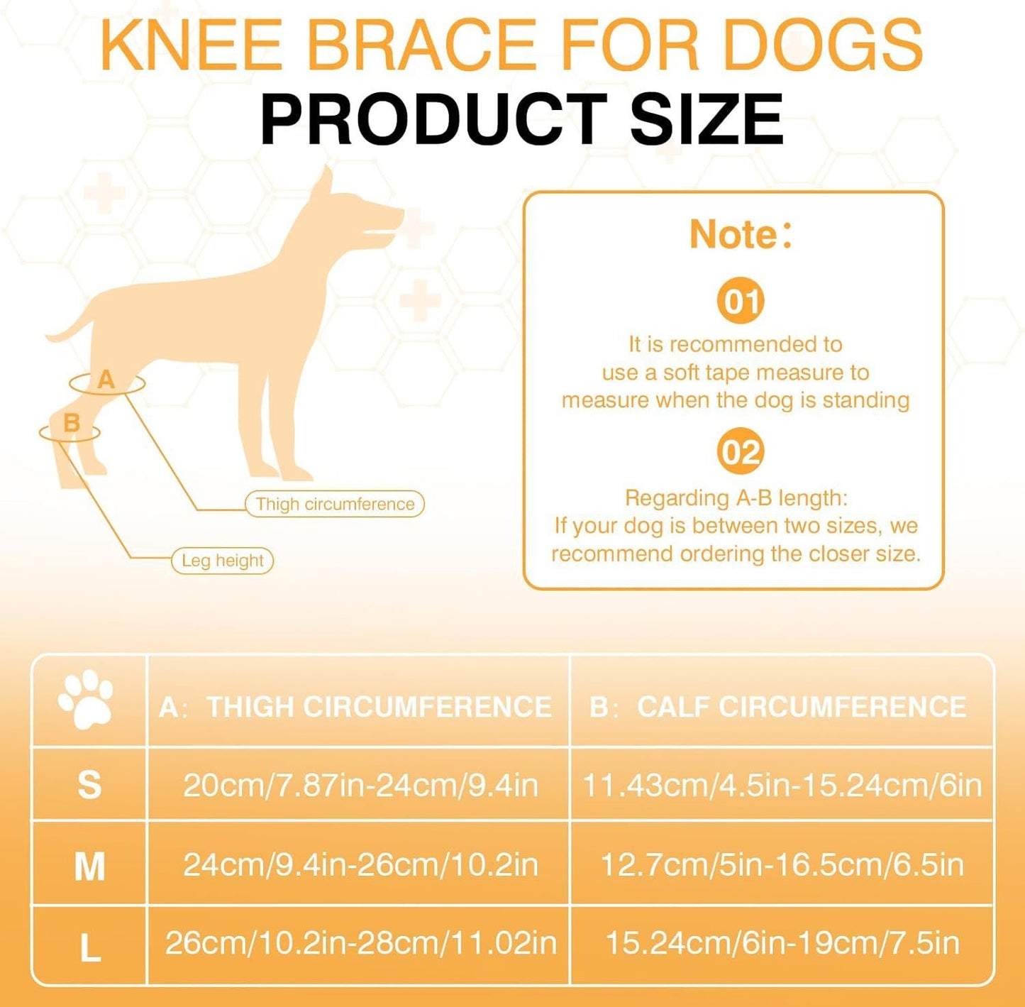 Knieschutz für Hunde | Gelenk- & Knieschutz