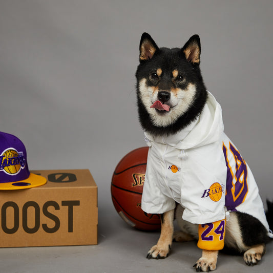 Basketball-Jacke für Hunde & Katzen | Stylische Haustierjacke im US-Design