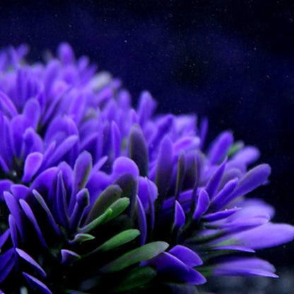 Aquarium Pflanzen Dekoration – Künstliche Wasserpflanzen mit Gipsbasis