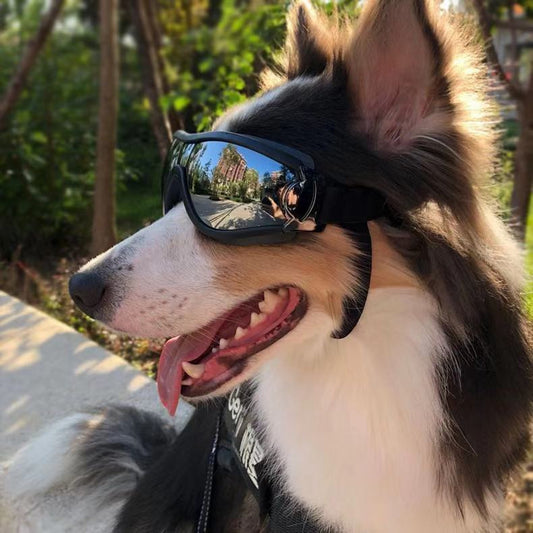 Wasserfeste Hundebrille mit UV-Schutz | Winddichte Sonnenbrille für Hunde