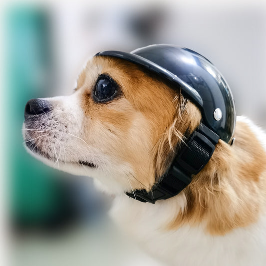 Motorradhelm für Hunde & Katzen – Haustier-Schutzhelm mit verstellbarem Gurt