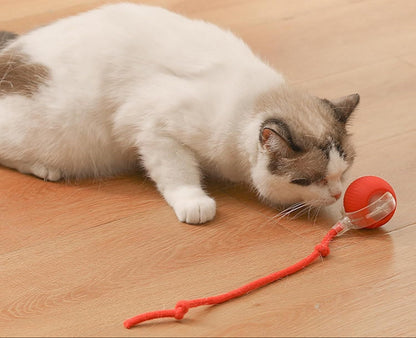 Interaktiver Smart Ball für Hunde & Katzen – Automatisches Spielzeug mit 360° Bewegung