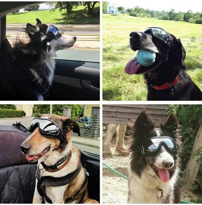 Wasserfeste Hundebrille mit UV-Schutz | Winddichte Sonnenbrille für Hunde