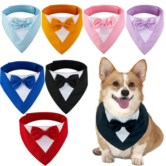 Fliege mit Schleife für Hunde & Katzen | Stylisches Halstuch in 8 Farben