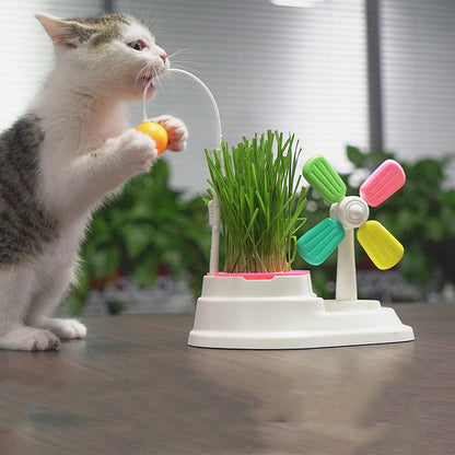 Windmühlen-Katzenspielzeug mit Katzengrasbox – Spielset für Stubentiger (Gras nicht enthalten)