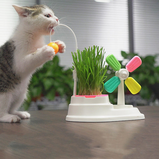 Windmühlen-Katzenspielzeug mit Katzengrasbox – Spielset für Stubentiger (Gras nicht enthalten)