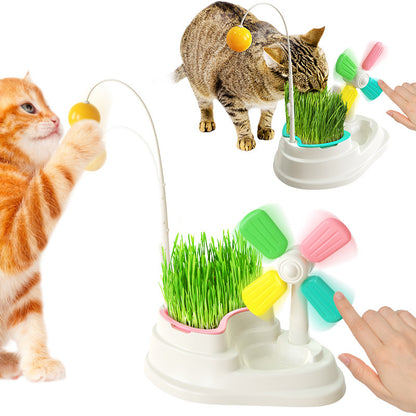 Windmühlen-Katzenspielzeug mit Katzengrasbox – Spielset für Stubentiger (Gras nicht enthalten)
