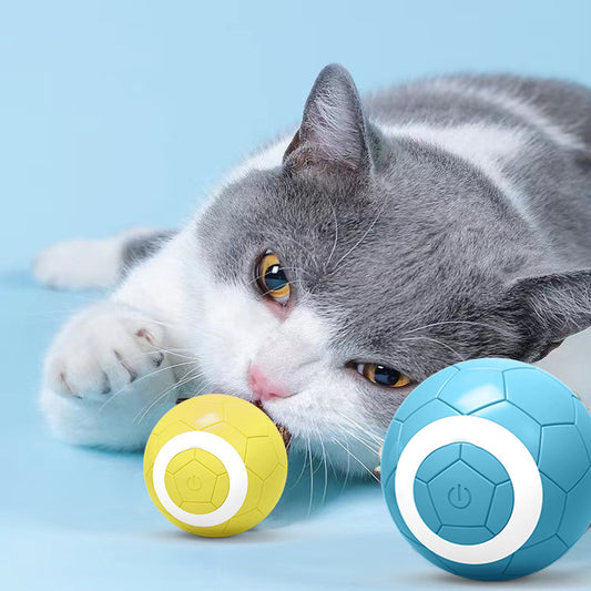 Interactive Electric Play Ball (with Catnip Compartment)