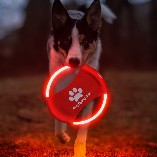 Leuchtender Hunde-Frisbee mit LED – Wiederaufladbares Wurfspielzeug für Tag & Nacht