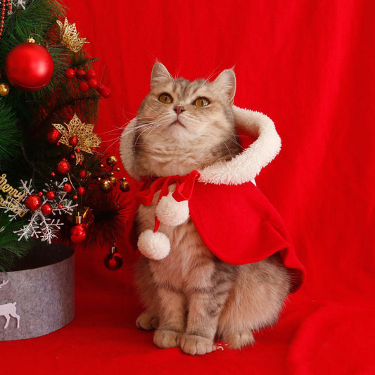 Weihnachts-Umhang für Katzen & kleine Hunde | Warmer Cape mit Kapuze