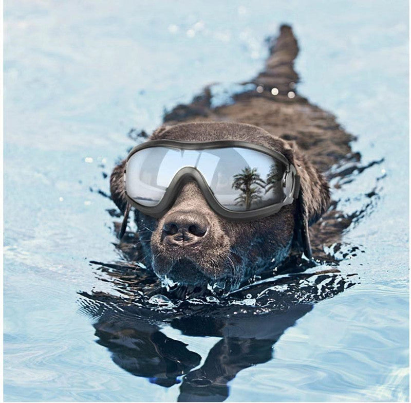 Wasserfeste Hundebrille mit UV-Schutz | Winddichte Sonnenbrille für Hunde
