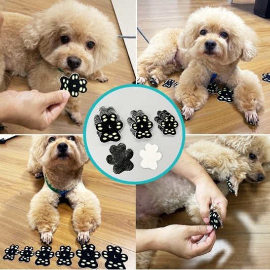 Unsichtbare Pfotenpads für Hunde – rutschfest & atmungsaktiv (8er-Set)